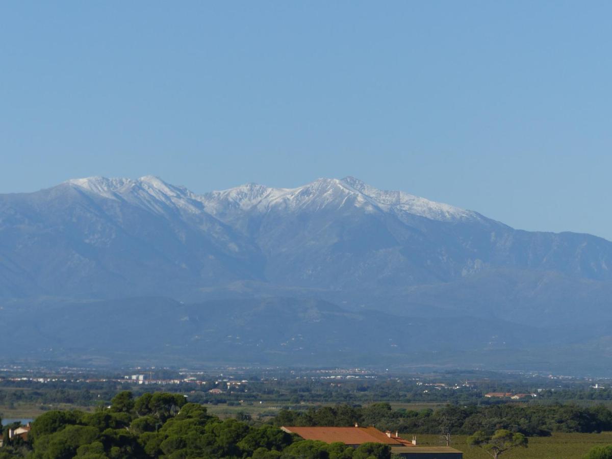 Albatros Daire Canet-en-Roussillon Dış mekan fotoğraf
