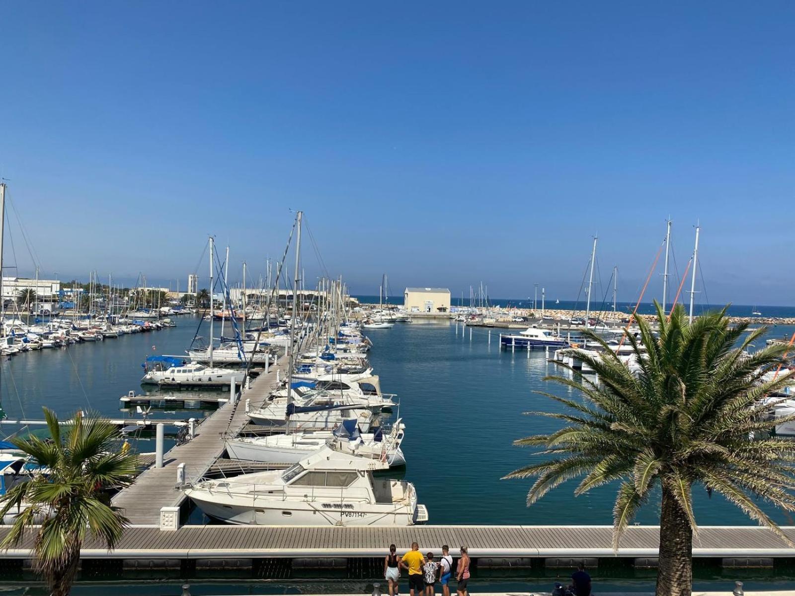 Albatros Daire Canet-en-Roussillon Dış mekan fotoğraf